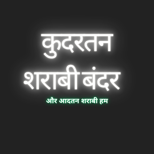 शराबी बंदर – कैसे मिली हमें शराब पचाने की अद्भुत क्षमता? 🍎🐒